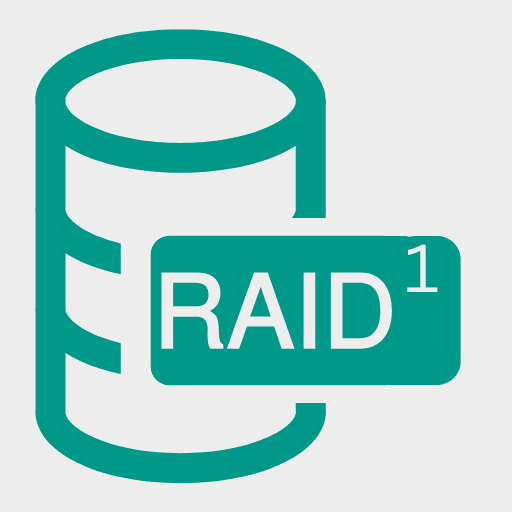 Raid 1