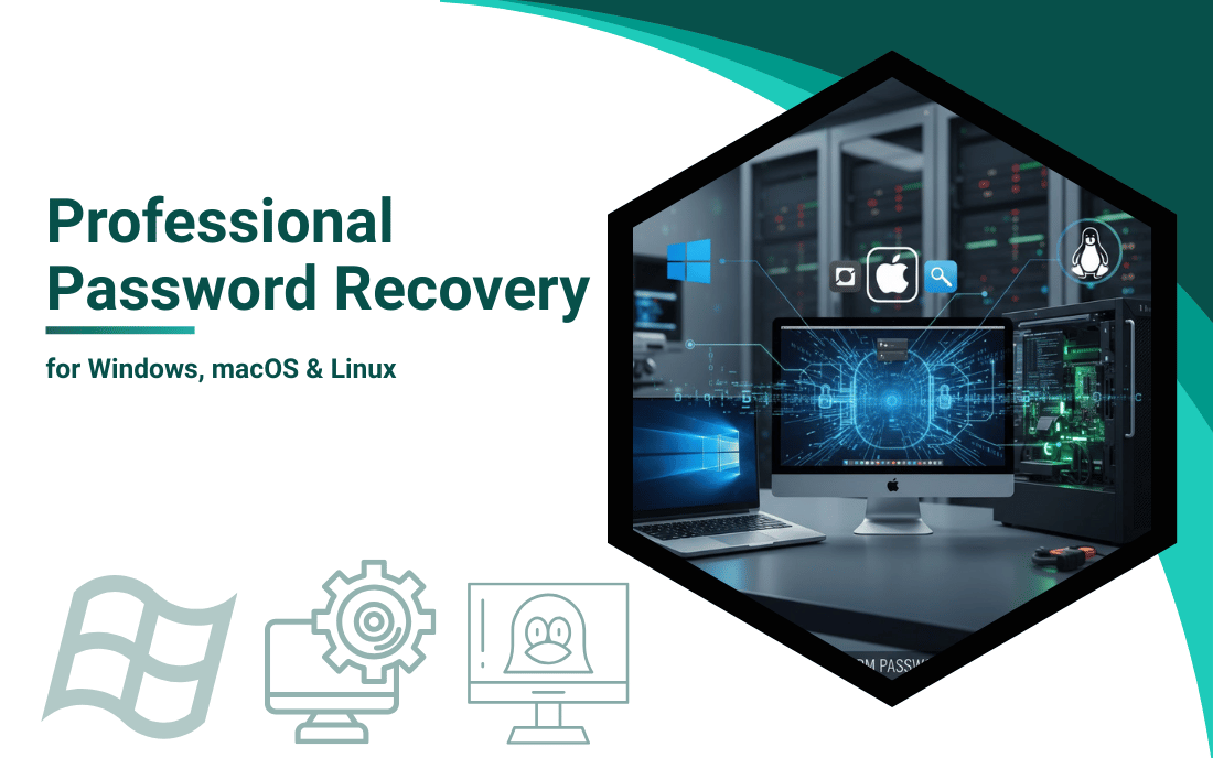 Professional Password Recovery for Windows, macOS & Linux