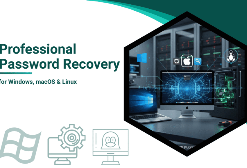 Professional Password Recovery for Windows, macOS & Linux